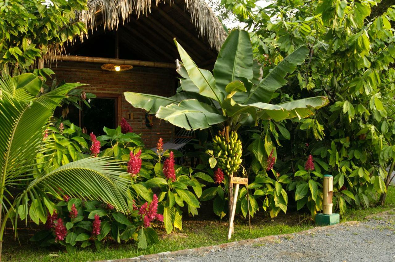 El Campito Lodge Ayampe Exterior foto